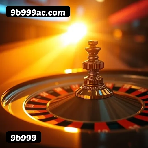 Níveis do programa VIP da 9b999